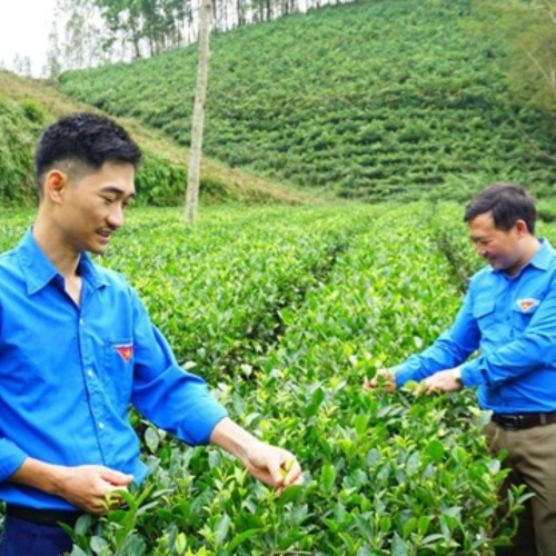 Thái Nguyên: Vươn Lên Làm Giàu Từ Nghề Cơ Khí